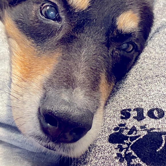 Meet your Posher, Mike - Picture 1 of 1